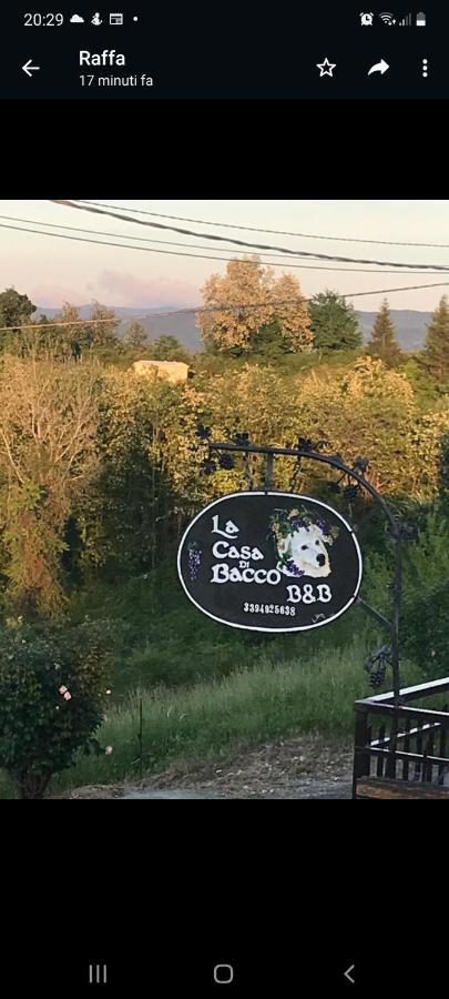 La Casa Di Bacco B&B Lerma Luaran gambar