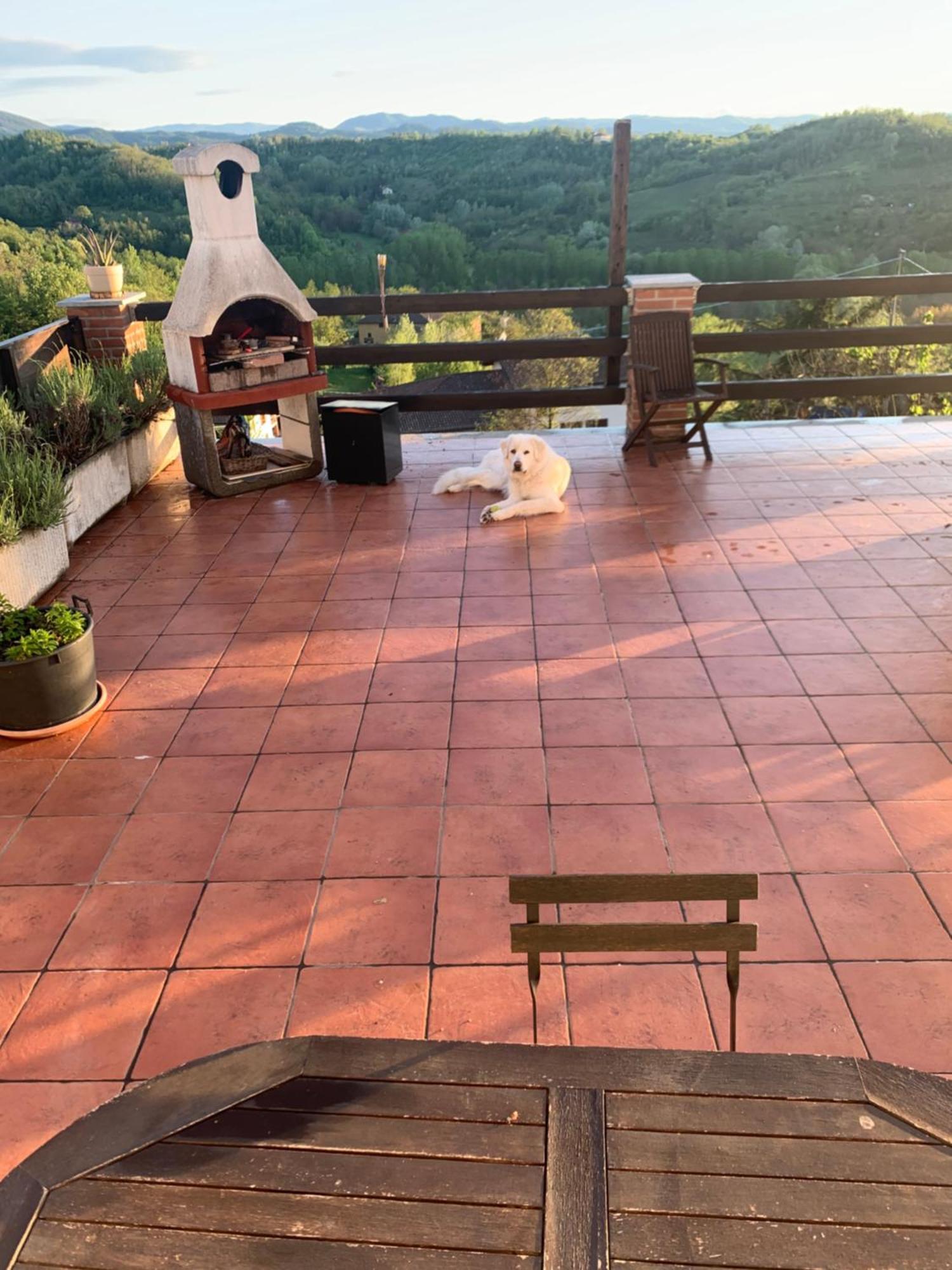 La Casa Di Bacco B&B Lerma Luaran gambar